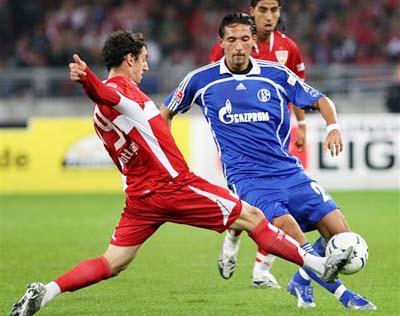 更添了亚冬 更添了亚冬