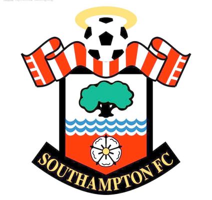 击败了布鲁 击败了布鲁